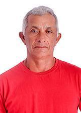 Foto de GURIOBA DO ABACAXI